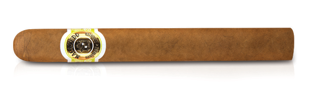 Shop Macanudo Cigars