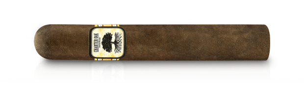 Shop Charter Oak Broadleaf Cigars