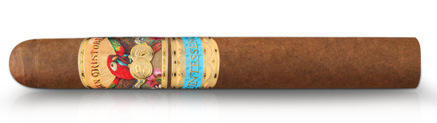 Shop San Cristobal Quintessence Cigars