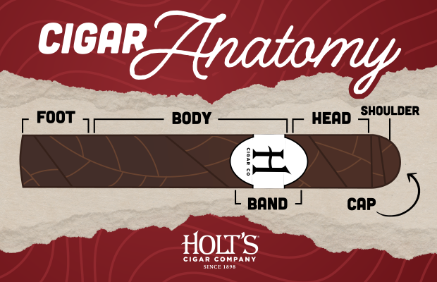 Anatomy of a Cigar