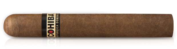 Top 10 Best Dominican Cigars Holt s Cigar Company