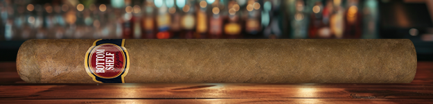 blogfeedteaser-Bottom-Shelf-Churchill