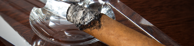 blogfeedteaser-Cigar-Canoeing