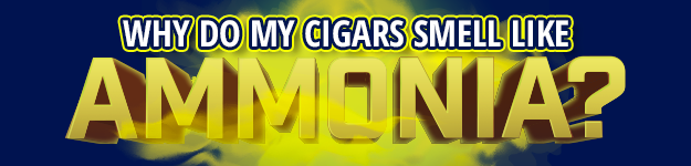 blogfeedteaser-Cigars_Smell_Like_Ammonia-625x150