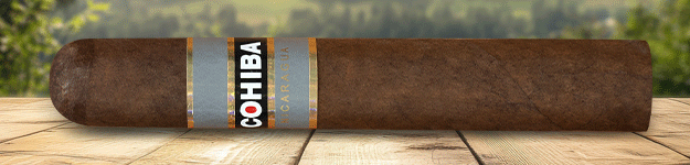 blogfeedteaser-Cohiba-Nicaragua-Toro