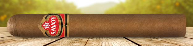 blogfeedteaser-Savoy-Toro