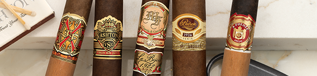 blogfeedteaser-Top-10-Full-Bodied-Blog_2026