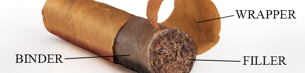 blogfeedteaser-cigaranatomy