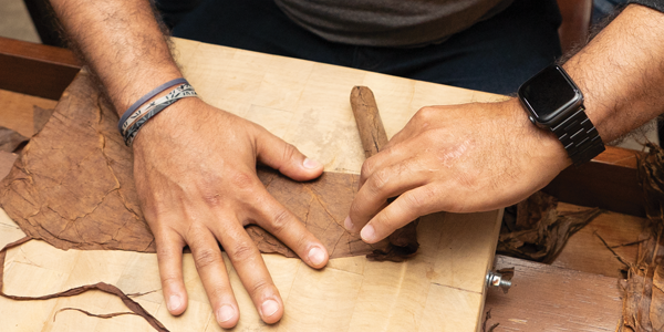 hand rolled cigars,