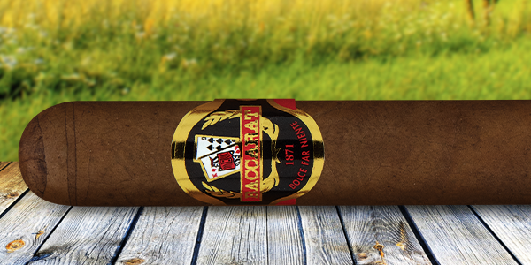 teaserimage-Baccarat-Nicaragua-Toro