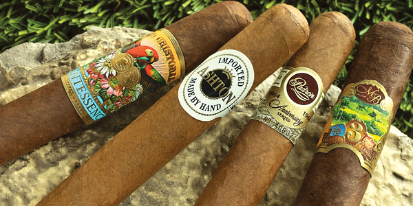 teaserimage-Best-Robusto-Cigars