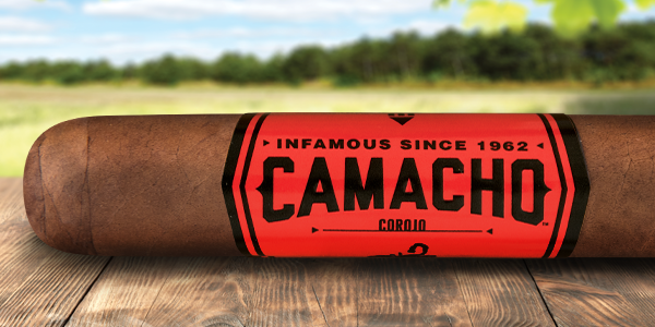 teaserimage-Camacho-Corojo-Toro