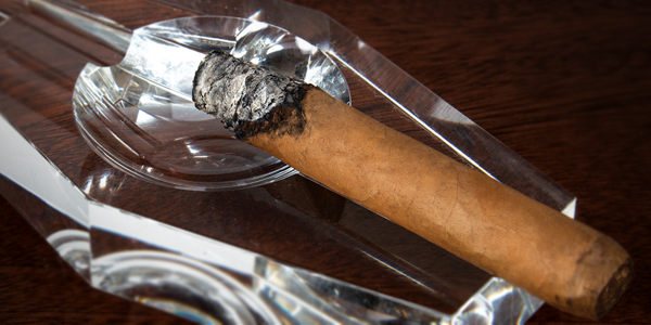 teaserimage-Cigar-Canoeing