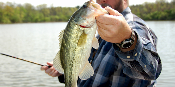 teaserimage-Cigars-and-Fishing