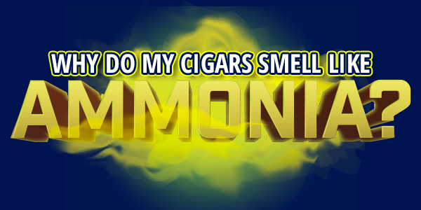 teaserimage-Cigars_Smell_Like_Ammonia-600x300