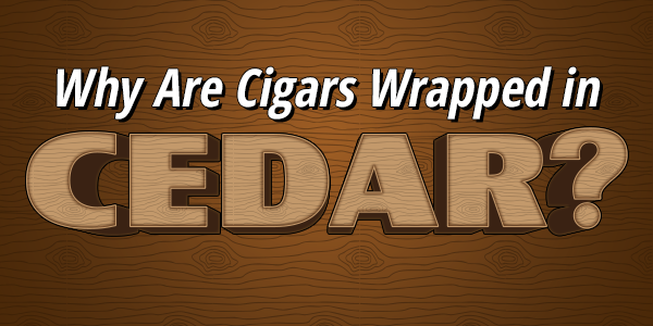 teaserimage-Cigars_Wrapped_in_Cedar-600x300_0