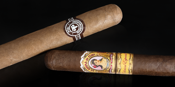 teaserimage-Difference-Between-Robusto-and-Corona_2022