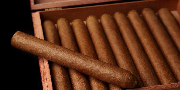 Top 15 Cuban Cigars to have on your humidor., by All Things Cigars