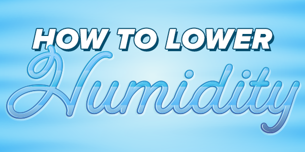 teaserimage-How_to_Lower_Humidity-600x300
