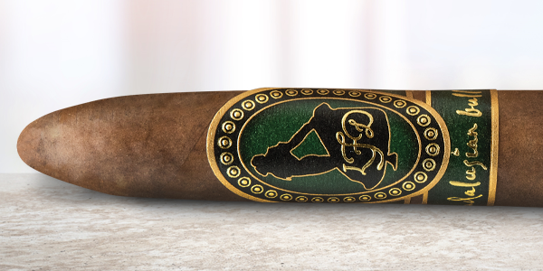 teaserimage-La-Flor-Dominicana-Andalusian-Bull