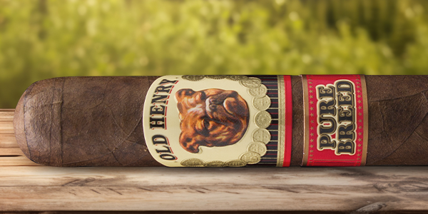teaserimage-Old-Henry-Pure-Breed-Toro