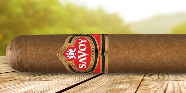 teaserimage-Savoy-Toro