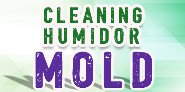 teaserimage_CleaningHumiMold