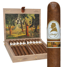 Davidoff Winston Churchill Limited Edition The Artist