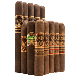 Oliva 'Nocturnal Beasts' Monster Deal