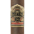 Ashton VSG