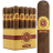 Rocky Patel Renaissance Fumas