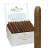 Ashton Small Cigars Cameroon