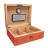 Elie Bleu Fruit Coral Sycamore Humidor