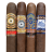 Perdomo Maduro Fresh Pack Sampler 