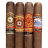 Perdomo Sun Grown Fresh Pack Sampler 