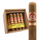 Saint Luis Rey Serie G Blowout