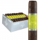 CAO Flathead