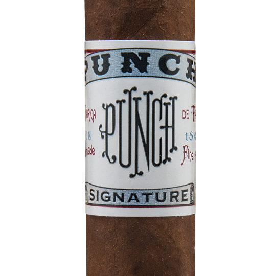 Punch Signature Cigars Reviews on Gigante & Robusto Holts